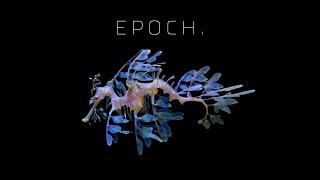 Epoch. Portal