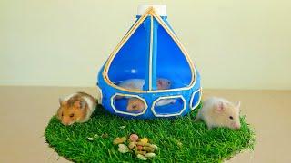 DIY Craft How To Make a Bottle Plastick Hamster House