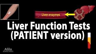 Liver Function Tests Animation for Patients