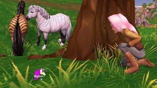 Catching The Zony  New Zebra Pony Mix Horse Star Stable Online Quest Video Game