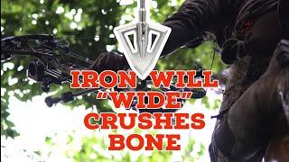 Iron Will Wide Devestates Wild Boar - Crazy blood trail 🩸