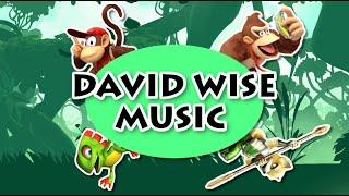 DAVID WISE  Relaxing Music Compilation