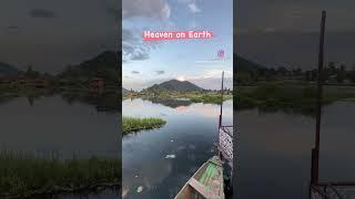 Srinagar Kashmir holiday trip #shortvideo #kashmir #srinagar