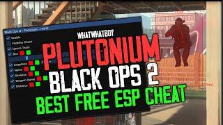 Plutonium BO2 WallhacksESP Cheat - Undetected & Free Download