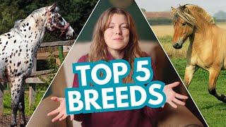 MY TOP 5 FAVORITE HORSE BREEDS and why