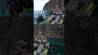 FISH ON - BIG POLLOCK - SEA FISHING UK - KAYAK FISHING UK - ILSE OF SKYE - HARLEY KAYAK ANGLER