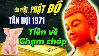 Cầu phật. Phật độ Tân Hợi 1971 từ mai gặp may tiền bạc đầy túi chật két nứt tường. Tha hồ tiêu pha