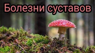 Болезни суставов. Народная медицина. Целитель. Умелец.