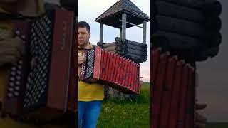 #секторгаза #гармонь #играйгармонь #топ #folk #музыка #музика #music