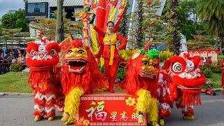 Sentosa Chinese New Year Lion Dance