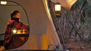 SOLO CAMPING with my DOG   time off relaxing in a cosy pine forest tent shelter  ASMR 