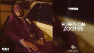 Future - PUFFIN ON ZOOTIEZ 432Hz