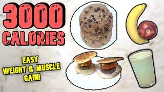 3000 Calorie Diet Plan For WEIGHT & MUSCLE GAINS - 3 Meals & 1 Snack