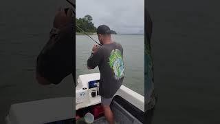 La buena pesca