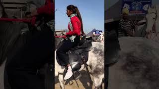 Indian girl Horse ride #horsegirl #horse #ghoda #horselover #horses #ghodi #actress #punjab #shorts