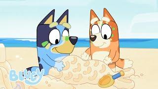 Les aventures ensoleillées de Bluey  Episodes complets  Bluey Français Chaîne Officielle