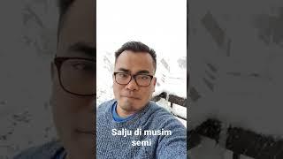 Salju dk musim semi