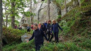 Kvällsvandring i Skinteboskogen med Vandringsgänget  Göteborgs kommun