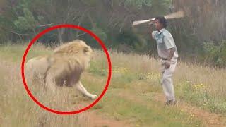 7 Pertemuan Singa Menakutkan Yang Sebaiknya Tidak Anda Klik