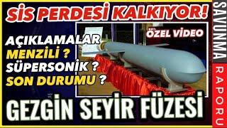 GEZGİN FÜZESİ ÜSTÜNDEKİ SIR PERDESİ  - SAVUNMA SANAYİ