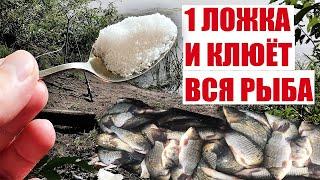 ВЕСНОЙ ВСЯ РЫБА КЛЮЁТ НА ЭТО 1 ЛОЖКА ЭТОГО И ВСЯ РЫБА КЛЮЁТ НА ЛЮБОМ ВОДОЁМЕ РАБОТАЕТ