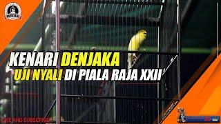 PIALA RAJA XXII  KENARI DENJAKA UJI NYALI DI KERASNYA PERSAINGAN