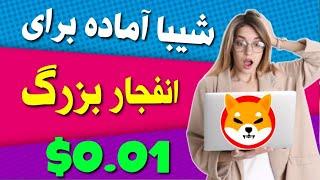 شیبا اینو آماده برای انفجار بزرگ  عبور شیبا از دوج کوین  افزایش شدید هولدر های ارز شیبا اینو