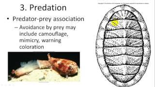 Marine Ecology