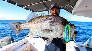 Slow jigging pearl perch