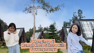 Review Glamping Rumah Kaca Sakura Hills Tawangmangu