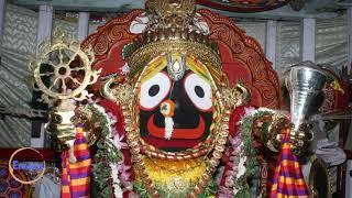 Lord Jagannath Swami Suna Besa