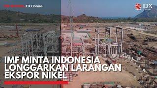 IMF Minta Indonesia Longgarkan Larangan Ekspor Nikel  IDX CHANNEL