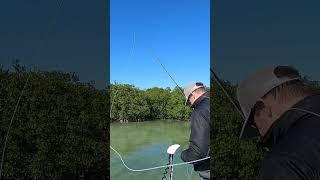 Shark gets revenge on fly fisherman