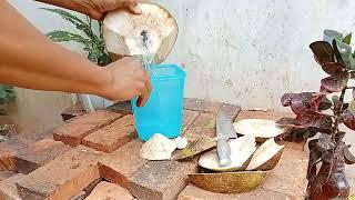 Sliced Coconut Peeling Styles coconut cutting knife