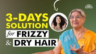 Dry hair treatment & solution  Frizzy hair solution  Dry hair home remedies  Dry hair causes