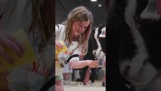 Sydney Royal Easter Show 2024  Day 6 Highlights  #findyourhappyplace #shorts