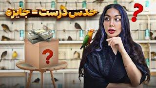 ولاگ بازار پرندگان  غرفه های جدید رو برای اولین بار دیدیممسابقه و جایزه نقدی