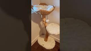 This wood cat tree is worth every penny It’s so stunning The cats love it 