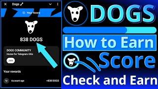 Check and Earn DOGS Reward  New Telegram Dogshouse Bot  How to get score