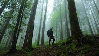 Viaje de senderismo silencioso en las montañas ASMR