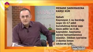 Mesane Sarkmasına Karşı Kür - DİYANET TV