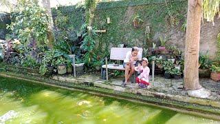 Momong putu di kolam koi ku - Kebun ijah