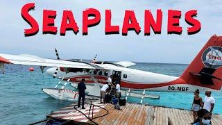 Seaplane experience  Maldives  Vlog4