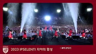 멘트 모두 삭제 고려대학교 축제 Psy 싸이 Playlist Full ver 직캠 Fancam 4k 60p 고대 입실렌티 IPSELENTI @녹지운동장