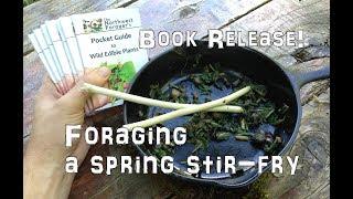 Foraging a Spring Stir-Fry & New Book Release