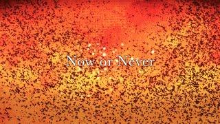 Now or Never  ナノ Music Video