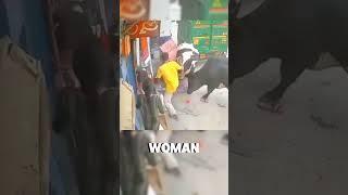 women relaxing get caught in a cow collision #shorts #animals #cow
