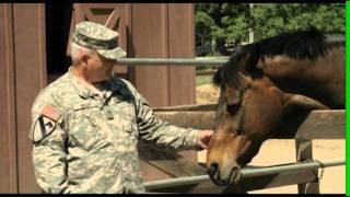 The Equine Sanctuary - Seabiscuit Event for Horse Soldiers Program