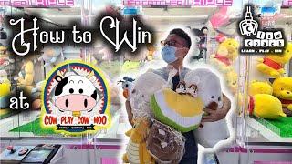 HOW WE WON 6 TOYS at Cow Play Cow Moo