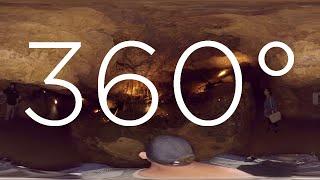 360° VIDEO - Naracoorte Caves - Victoria Fossil Cave Tour